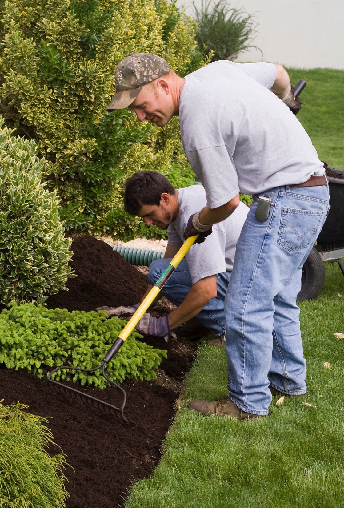 Mulching